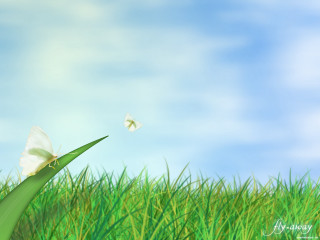 Butterfly flying green grass field - digital painting free wallpaper