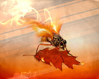 Bee leaf fire effect background - firefly free wallpaper