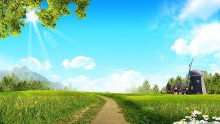 Dirt road lush green field 6 - a dirt road free wallpaper