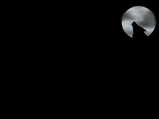 Wolf dark fullmoon blacksky clouds - full moon free wallpaper