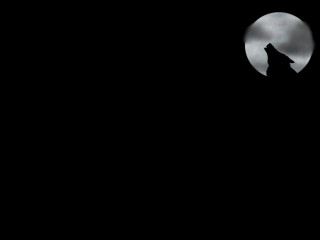 Wolf dark fullmoon blacksky clouds 2 - full moon free wallpaper