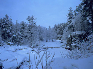 Snowy landscape trees stream snow - a snowy landscape free wallpaper