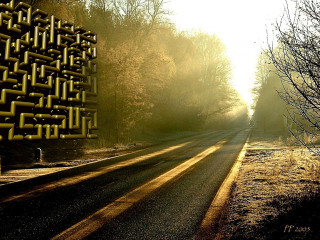 Road yellow sign trees background 2 - a sunbeam free wallpaper