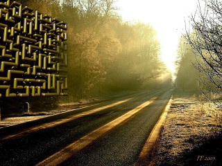 Road yellow sign trees background 3 - caustic free wallpaper