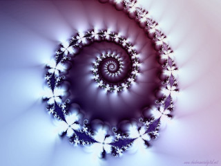 Spiral flowers blue pink white - a black center free wallpaper