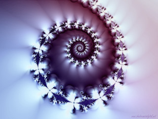 Spiral of flowers image spiral - analytical free wallpaper