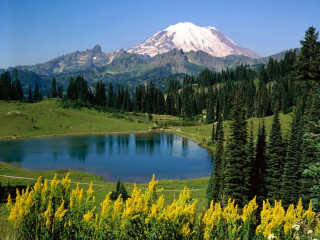 Mountain lake forest yellow flowers 3 - beautiful landscape free wallpaper