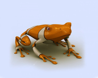 Frog 3d rendering orange white - 3 d model free wallpaper
