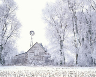 Snowy barn windmill forest cherry - winter free wallpaper