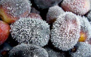 Closeup frosted plums sugary crystals - a close up of a bunch free wallpaper
