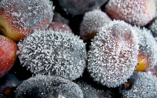 Close up fruit frosting sugar 2 - free new year wallpaper