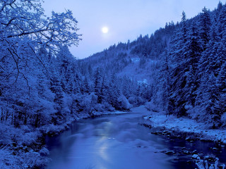 River snow trees full moon - a full moon in the sky free wallpaper