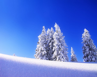 Snow covered hill trees blue 4 - hill free wallpaper
