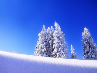 Snow covered hill trees blue 5 - hill free wallpaper