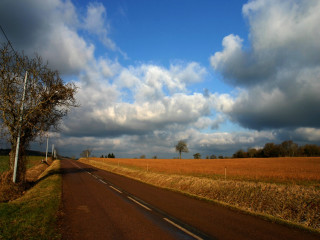 Road tree field clouds sky 2 - de hirsh margule free wallpaper