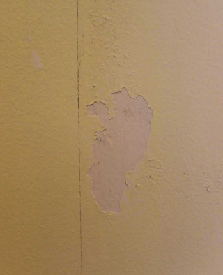 Peeling paint white wall minimalist - hard edge free wallpaper