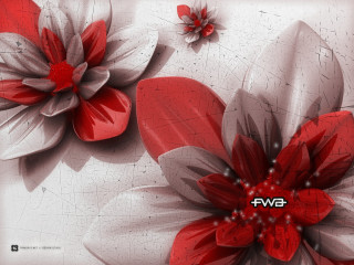 Red white flower black white - bernard fleetwoodwalker free wallpaper