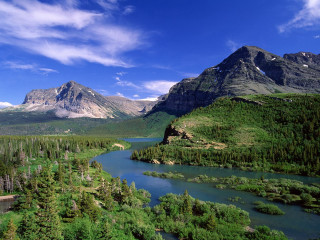 River forest hillside mountain bridge 3 - a lush green forest free wallpaper