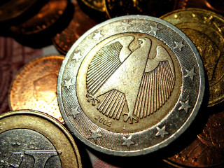 Pile coins bird star top - a picture of a bird free wallpaper