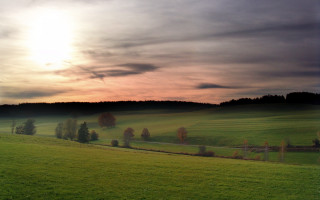 Green field fence trees sunset - a fence and trees free wallpaper