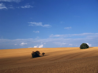 Field trees gradient sky mountain - the middle of it free wallpaper