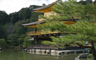 Yellow roof building tree water 4 - free ship wallpaper