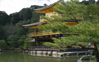 Yellow roof building tree water 5 - free ship wallpaper