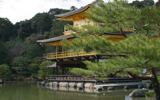 Yellow roof building tree water 3 - eizō katō free wallpaper