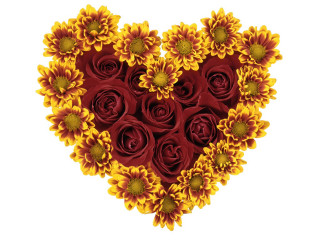 Heart sunflowers roses red yellow 2 - constance copeman free wallpaper