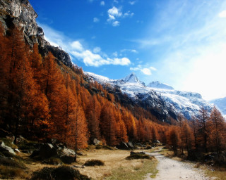 Dirt road trees mountain clouds 4 - mountain in the distance free wallpaper