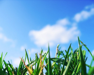 Green grass blue sky clouds 4 - a green grass free wallpaper