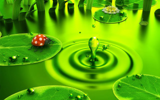 Green pond ladybug leafy lily 6 - an airbrush painting free wallpaper