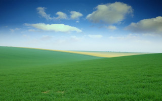 Green field blue sky clouds 58 - derold page free wallpaper