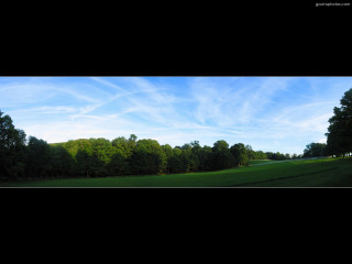 Field trees blue sky clouds - widescreen free wallpaper