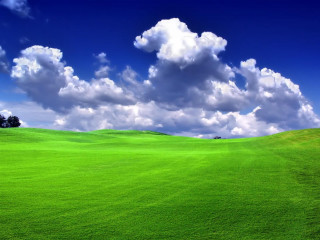 Green field lone tree cloudy 2 - a lone tree in the distance free wallpaper