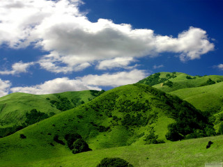 Green mountain clouds cows grazing - a green mountain free wallpaper