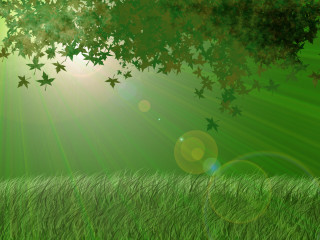 Green field sunshine trees grass - the sun free wallpaper