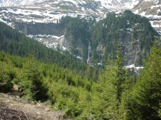 Snowy mountain trees person trail - domirinic fegallia free wallpaper