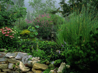 Garden rock wall flowers plants - flora macdonald reid free wallpaper