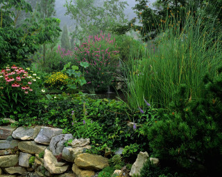 Garden rockwall flowers plants bench 2 - a bench in the middle free wallpaper