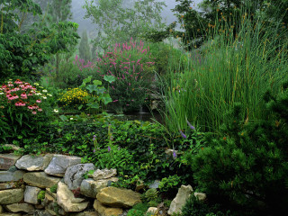 Garden rock wall flowers plants 2 - flora macdonald reid free wallpaper
