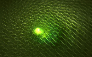 Green light background lines dots - caustic free wallpaper