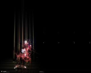 Dark room flower black background - particle free wallpaper