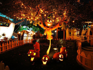 Halloween pumpkins costume pumpkin hat - pixar and disney animation free wallpaper