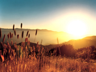 Field sunset mountain range trees 2 - anamorphic free wallpaper
