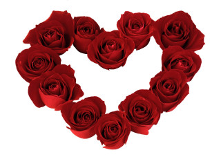 Red rose heart white background - anne rigney free wallpaper