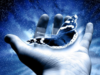 Hand holding butterfly stars blue 3 - benoit b. mandelbrot free wallpaper