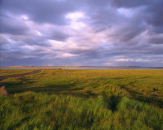 Field road cloudy sky dirt - art free wallpaper for desktop