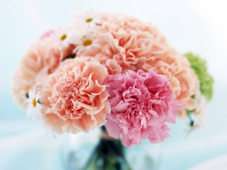 Vase filled pink green flowers 4 - a table top next free wallpaper