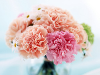 Vase filled pink green flowers 3 - a table top next free wallpaper